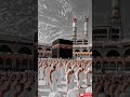 Daily islamic Hadith Video | Deen daily🤗 #shortvideo #islamicvideo #islamicshorts #islamicstatus