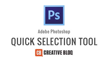 Photoshop: How to use the Quick Selection Tool