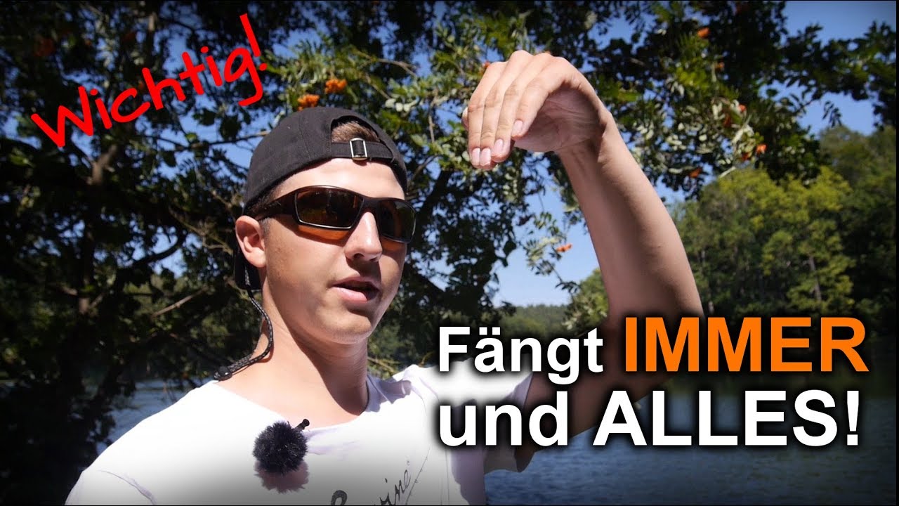 Spinnerbaits - das musst du wissen!