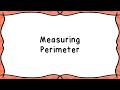 Understanding Perimeter