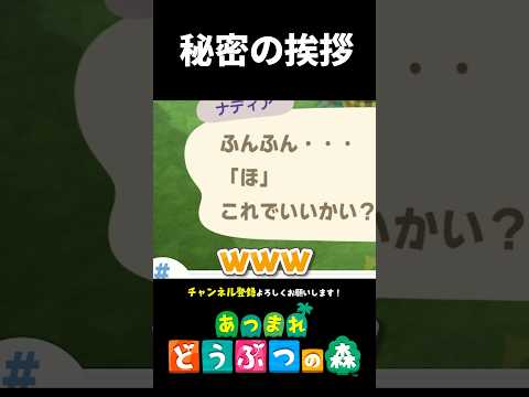 【あつ森】秘密の挨拶をランダムに決めてみた結果