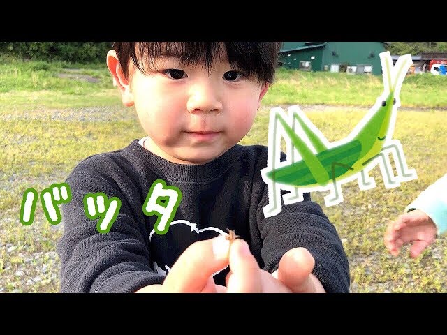 春の虫探し