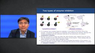 Download lagu Computational Modeling and Analysis of Cell Signaling Pathway Computational Modeling and Analysis of Cell Signaling Pathway