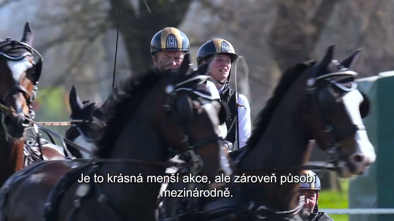 Kladruby 2023...what a great driving event...