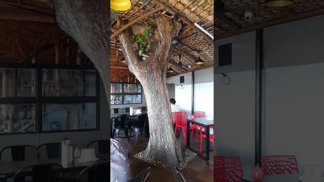 Love nature|Pappas and mammas hottel|Calicut beach road