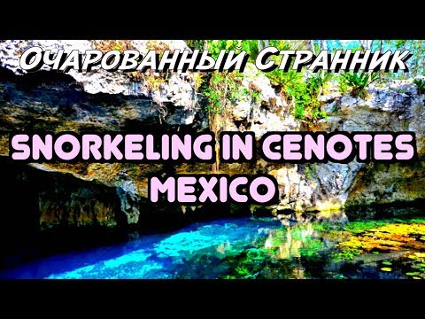 Video: Gardēžu Pusdienas Meksikas Cenote