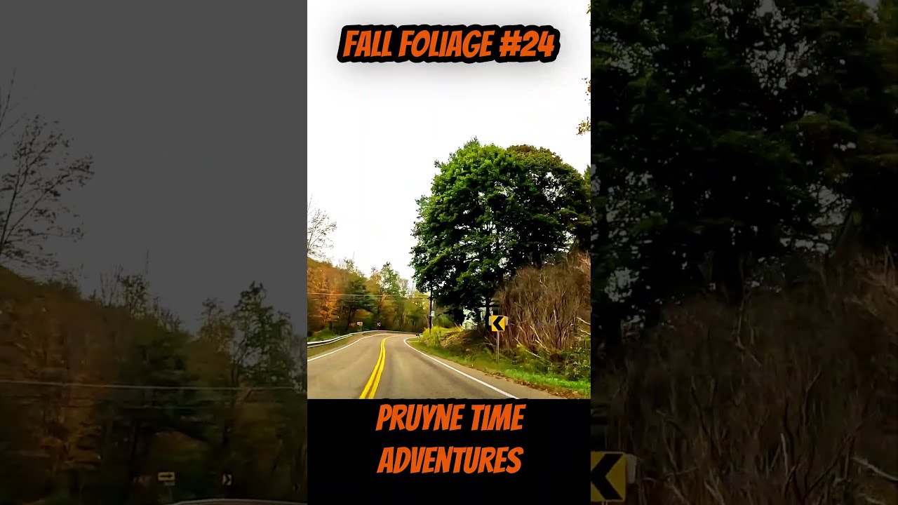 FALL FOLIAGE #24: Hornby, New York; Winding Roads & Autumn Colors