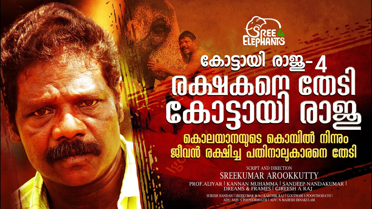 ആണത്തം അരങ്ങുവാഴുമ്പോഴും തുടർക്കഥയാവുന്ന ദുരന്തങ്ങൾ...ഉള്ളുലയ്ക്കുന്ന രണ്ട് മരണങ്ങൾ...!