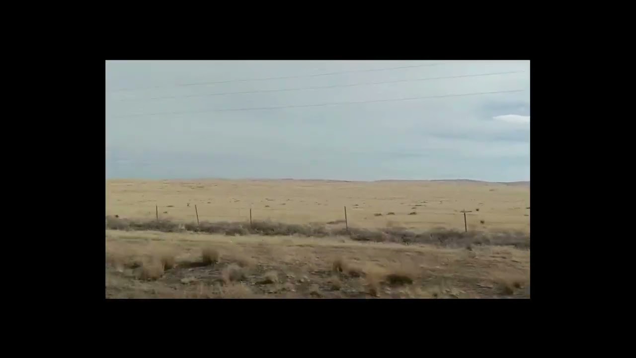 HARD WORKING TRUCKER'S BLUES