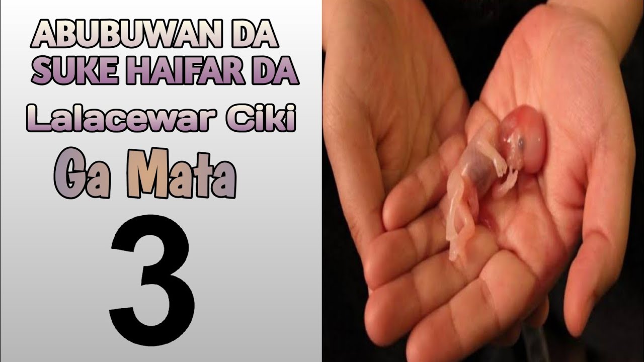 Zubewar Ciki Da Abubuwan da suke Kawo Matsalar Kashi Na Daya