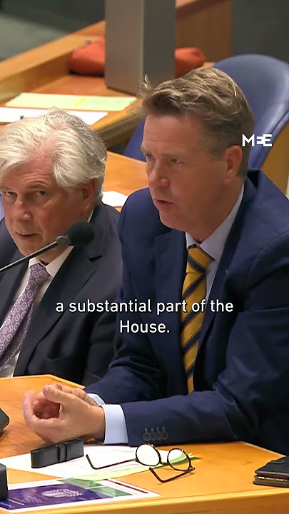 Dutch MP Esther Ouwehand told to change outfit after wearing Palestinian flag blouse in parliament