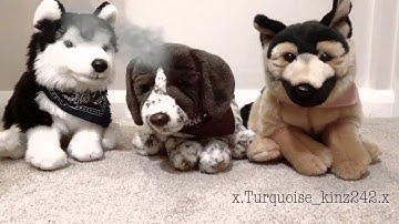 Webkinz music video/MEP part!