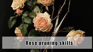 How to Properly Prune Climbing Roses