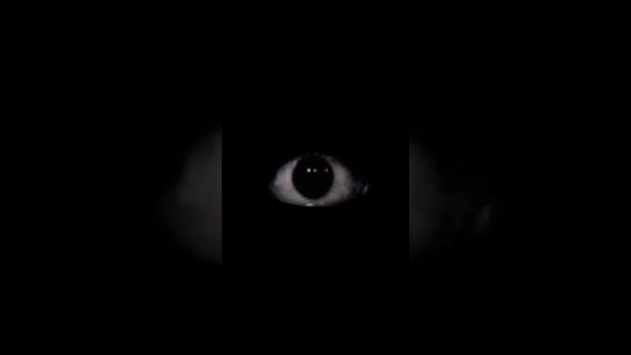 All Horror Song but with a effect