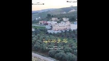 إنّ الإنسان لربه لكنود|الشيخ ماهر المعيقلي|تلاوة خاشعة|حالات قران|ايدون اربد الاردن|سورة العاديات