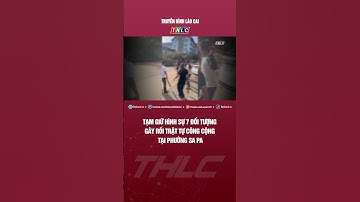 Tạm giữ hình sự 7 đối tượng gây rối trật tự công cộng tại phường Sa Pa | THLC