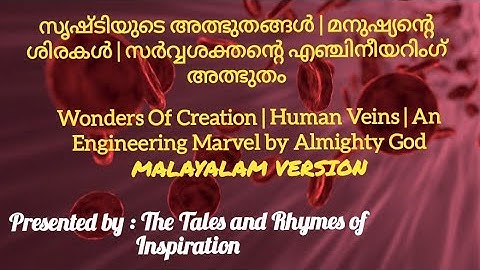 സൃഷ്ടിയുടെ അത്ഭുതങ്ങൾ | മനുഷ്യ സിരകൾ | സർവ്വശക്തന്റെ എഞ്ചിനീയറിംഗ് അത്ഭുതം