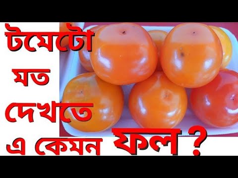 ভিডিও: টমেটো ফলের কীট দেখতে কেমন?