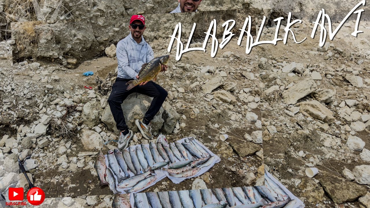 Muhteşem Bir Alabalık Avı I Alabalık Tutmaktan Yorulduk I #alabalık #alabalıkavı