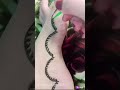 Leg mehandi design ❣️ #trending #mehandi #viralvideo #reels #shorts #legsmehndi #new #mehndi