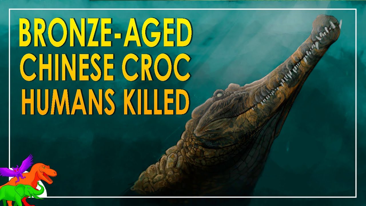 Bronze Age Croc Connects the Gharial Dots and We Killed Them All