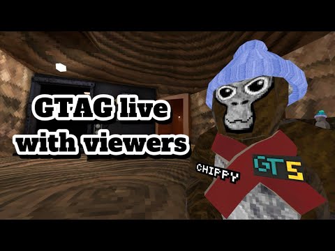 🔴Live🔴 Code: ChippyGT1