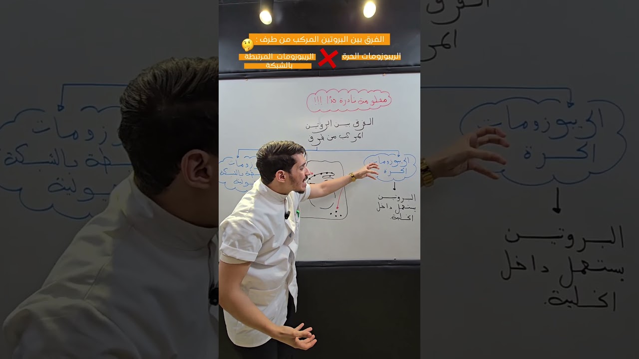 الفرق بين البروتين المركب من طرف الريبوزومات الحرة و المرتبطة بالشبكة