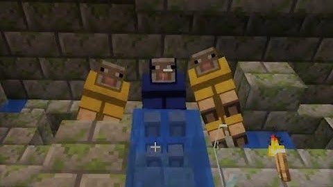 council of water sheep