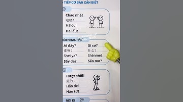 🎓 Học Giao Tiếp Tiếng Trung Dành Cho Người Mới