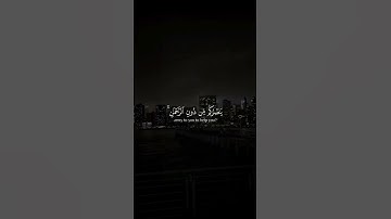 ماتيسر من سورة الملك 🎧🍁|| القارى علي الدليمي /@علي_الدليمي-95 #اكسبلور #المصحف #راحة_نفسية