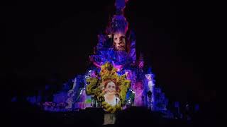 Show DisneyLand París 29 Enero 2018