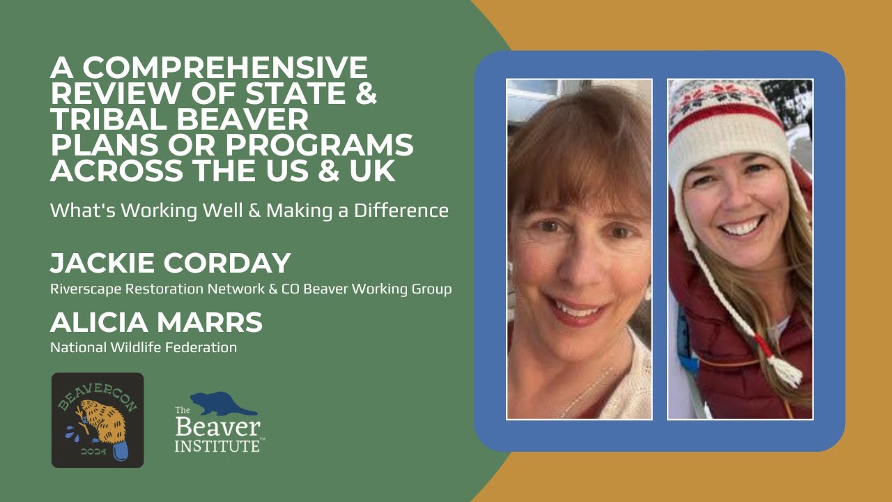 A Comprehensive Review of State & Tribal Beaver Plans or Programs Across the US & UK