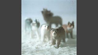Ghost Animals