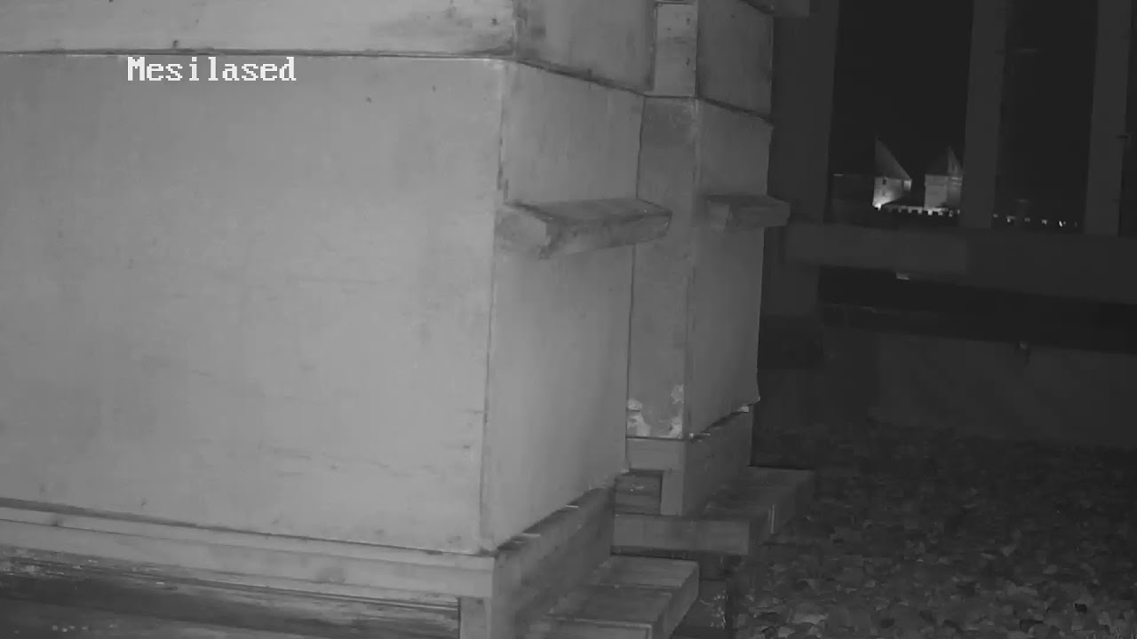 Kasutaja GOSPA Georg Ots Spa hotel otseülekanne