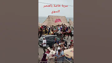 التبوريدة المغرب اكسبلور Automobile الحصان الفرس ترند تيك توك الجالية المغربية مراوغات 