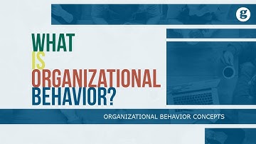 What is Organizational Behavior?