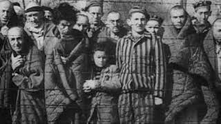 THE PERSECUTION OF HOMOSEXUALS DURING THE NAZI REGIME