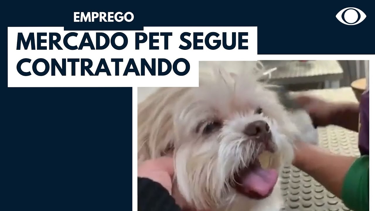 Mercado pet em alta