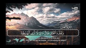 تلاوة من سورة النمل للقارئ ريان المحيسني