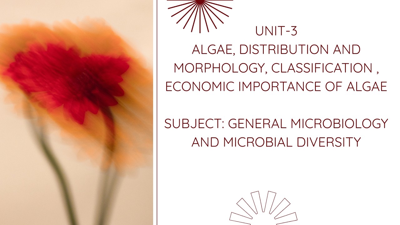 Algae: Distribution, Morphology, Classification, and Economic Importance