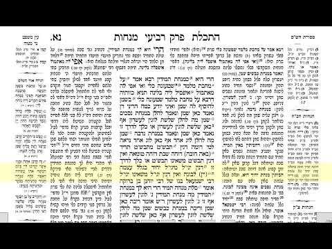 דף היומי מנחות דף נא