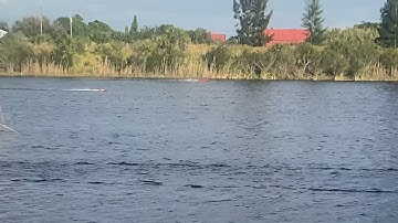 Juicy Racing Rico cat at Melbourne shootout 2020