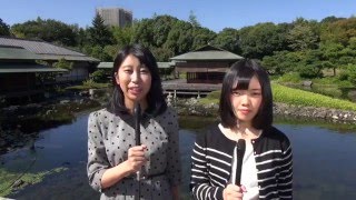 白鳥庭園の魅力―「水の物語」を演出―