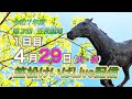 笠松けいばライブ配信R7.04.29