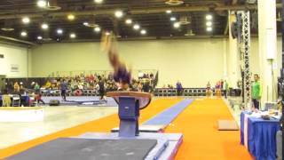 Hni 2016 Open Team Cup Maria Cecilia Bra On Vt