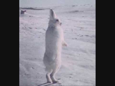 Watch A Sunny Day in Glasgow - Failure on YouTube Watch A Sunny Day in Glasgow - Failure on YouTube