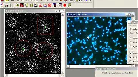 Move AOI Macro - Image-Pro Plus