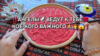 :             