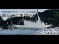 The Next-Gen Vanguard | JS Mogami (FFM-1): Tracing the Beauty of Stealth | 次世代の旗手|護衛艦もがみ(FFM-1)
