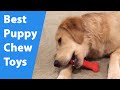 Puppy Chew Toys: The Best Chew Toys For Teething Puppies